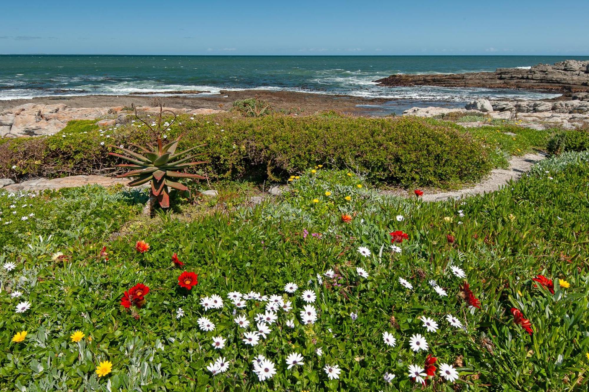 64 Whalerock Estate Hermanus Exterior foto